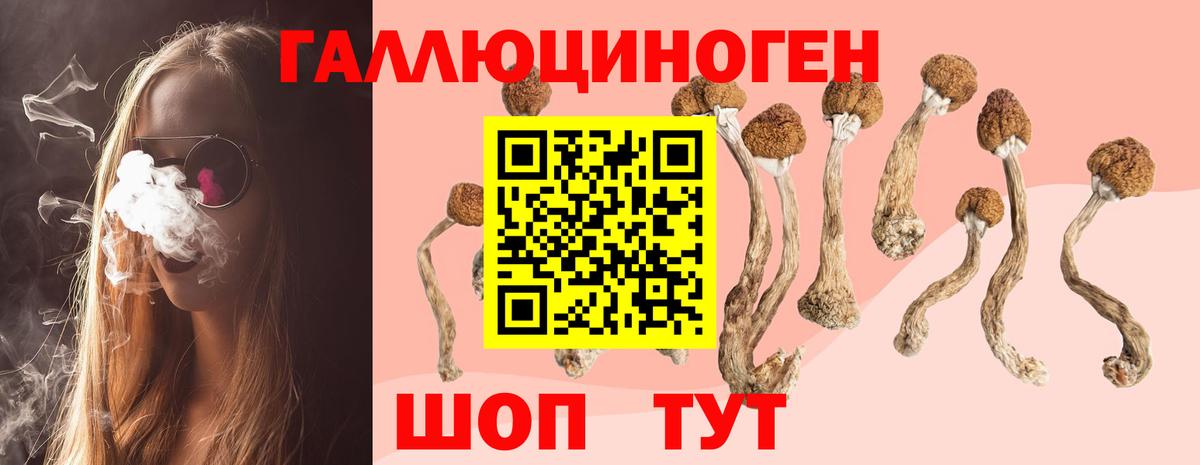 Псилоцибиновые грибы Psilocybine cubensis Луховицы